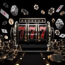 dan77